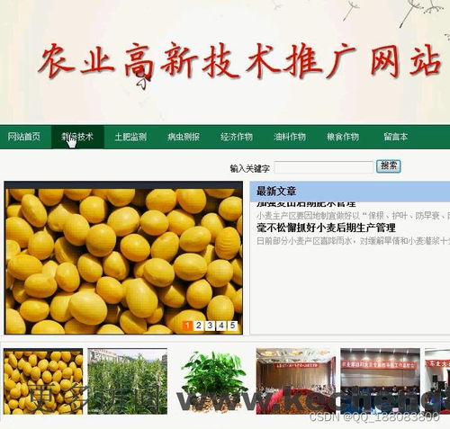 Web端农业高新技术推广平台 设计理念与实现路径